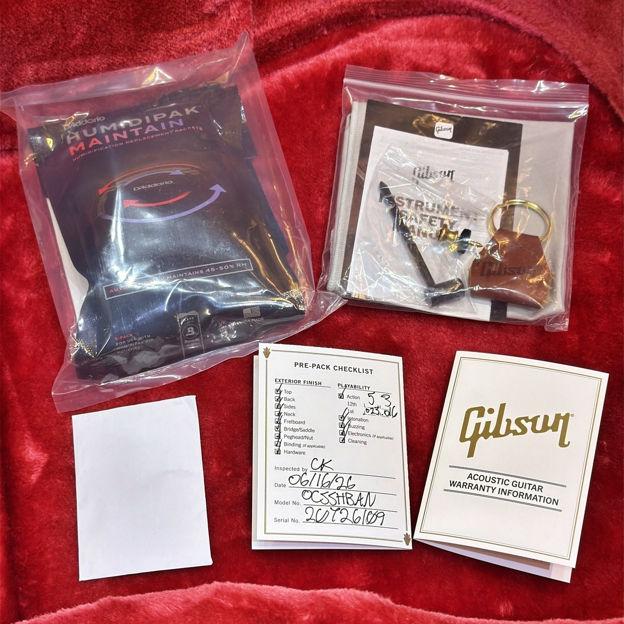 Gibson 【試奏動画あり】Hummingbird Original AN #21676070【優しく