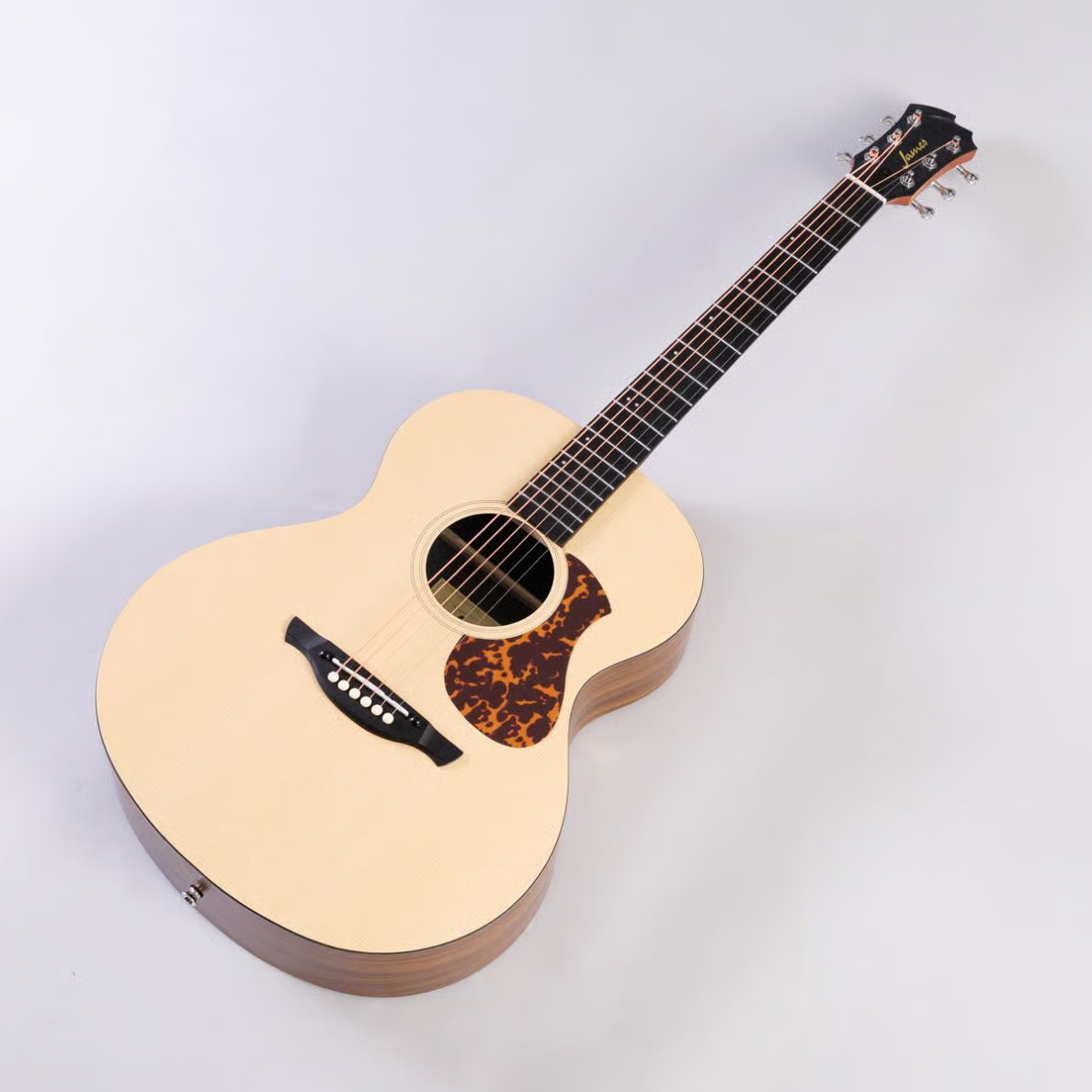 James J-100A SPT アコースティックギター ギグケース付属 スプルース