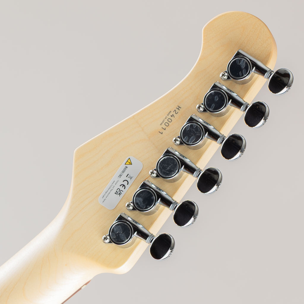 FUJIGEN(FGN) BCTE100RBD-SWH（新品/送料無料）【楽器検索