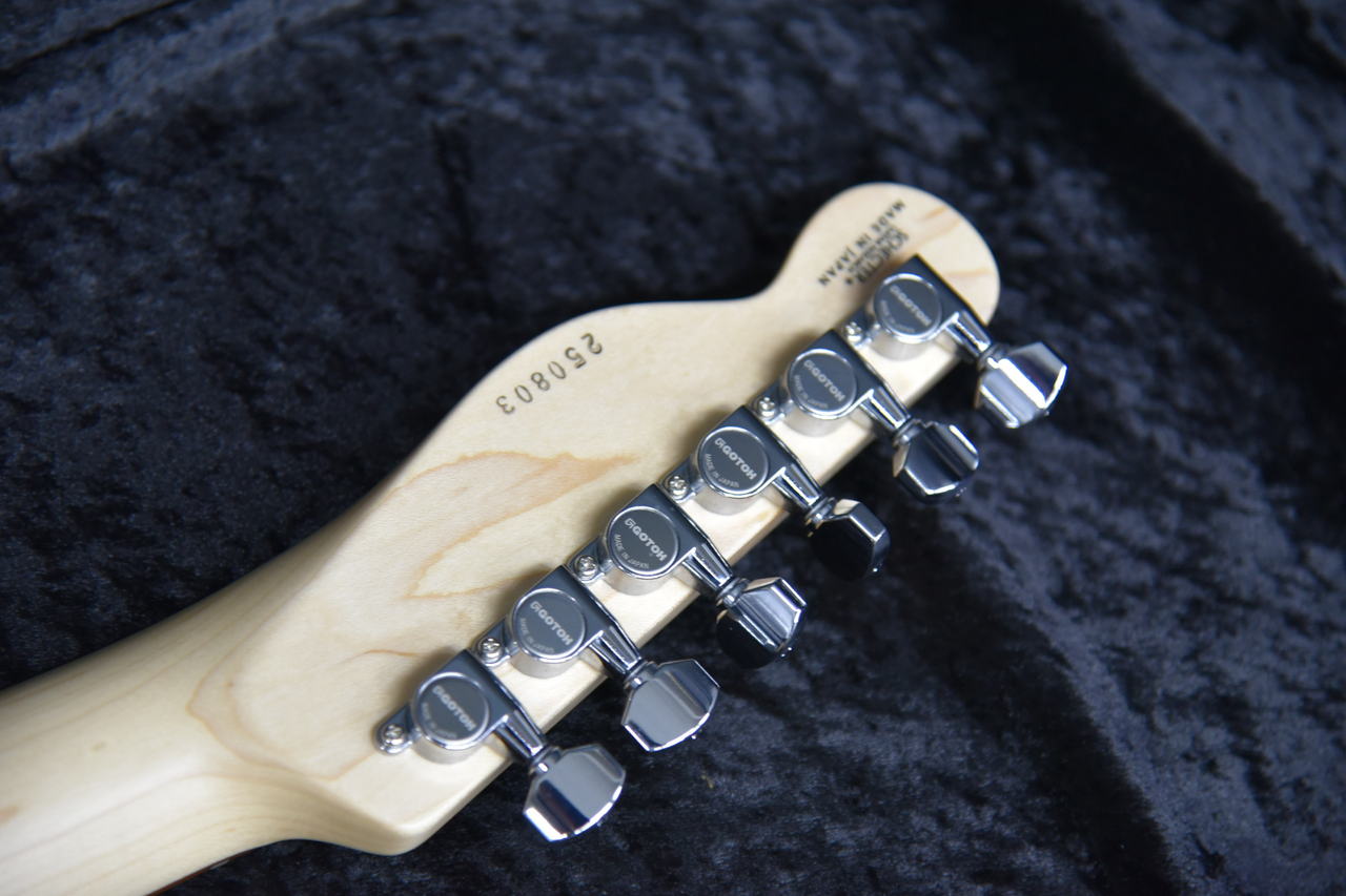 SCHECTER AC-TK-TE-WH/SIG 未展示品（新品）【楽器検索デジマート】