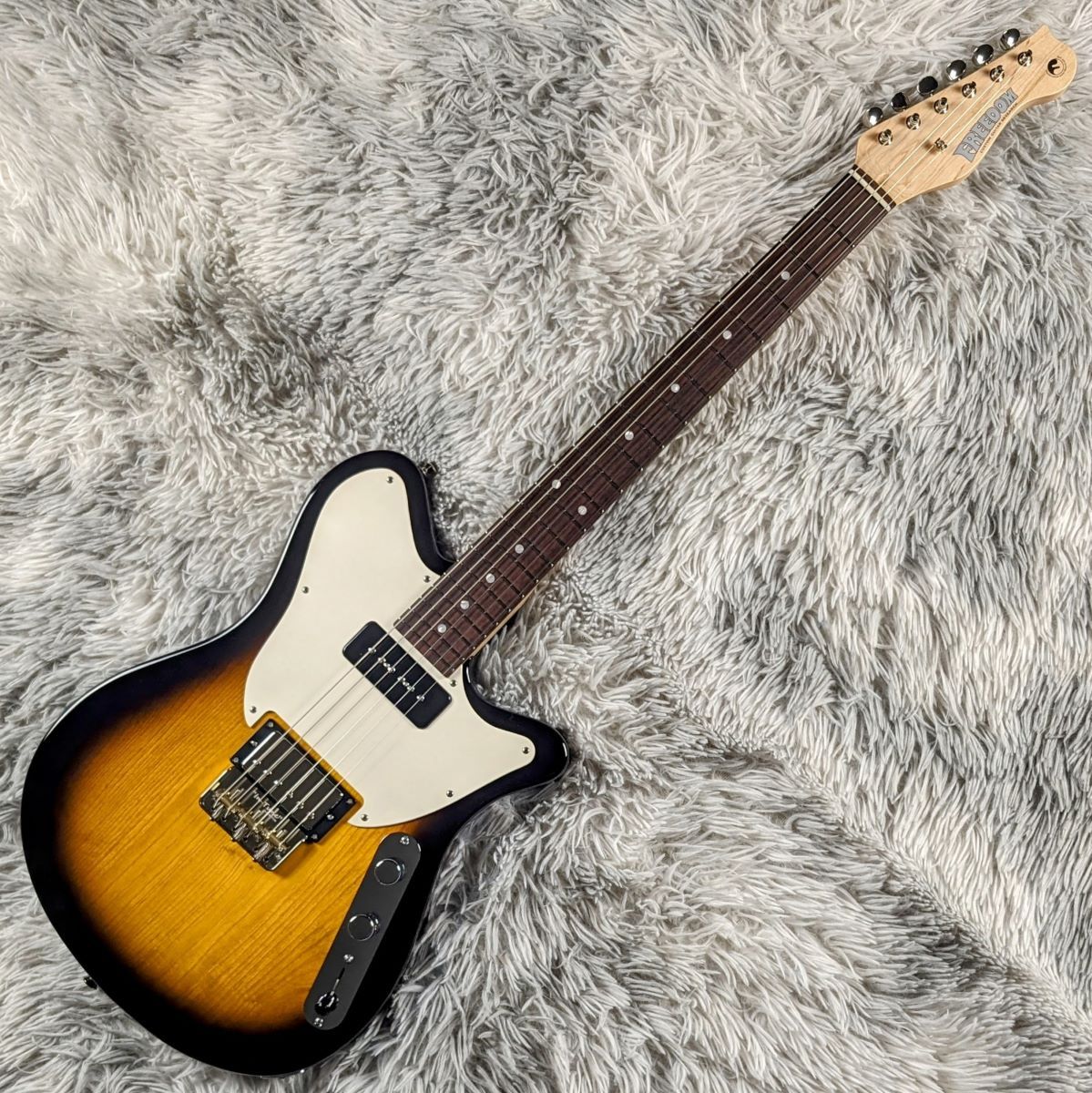 FREEDOM CUSTOM GUITAR RESEARCH C.S.Shaker【現物画像】11/29