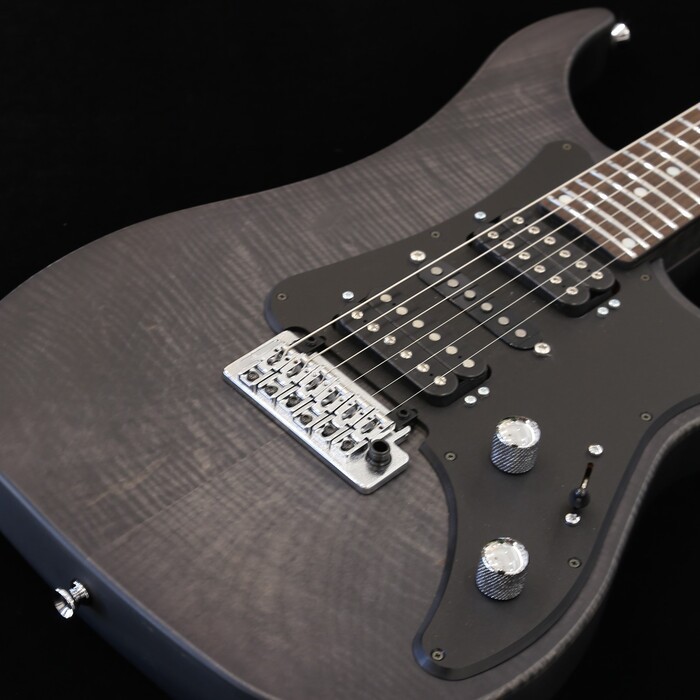 Vigier Guitars Excalibur Special VE6-CVSP1, Velours Noir