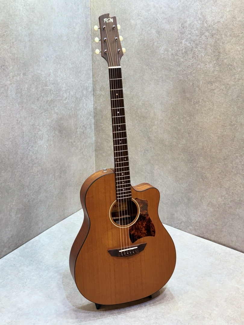 FUJIGEN(FGN) AG1（中古）【楽器検索デジマート】