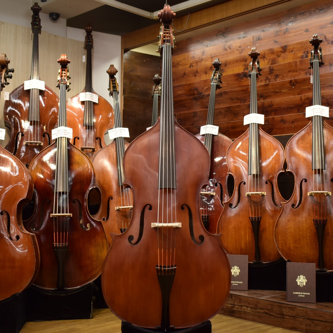 Gliga Gems II Violin Shape/C.Back 5st 3/4 size【地下コントラバス