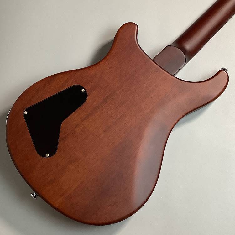 Paul Reed Smith(PRS) SE22STD 사진 6
