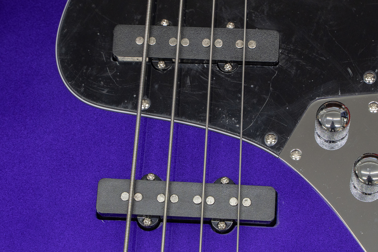 Bacchus WJB-1DX RSM/M IPM 3.875kg【GIB横浜】（新品/送料無料