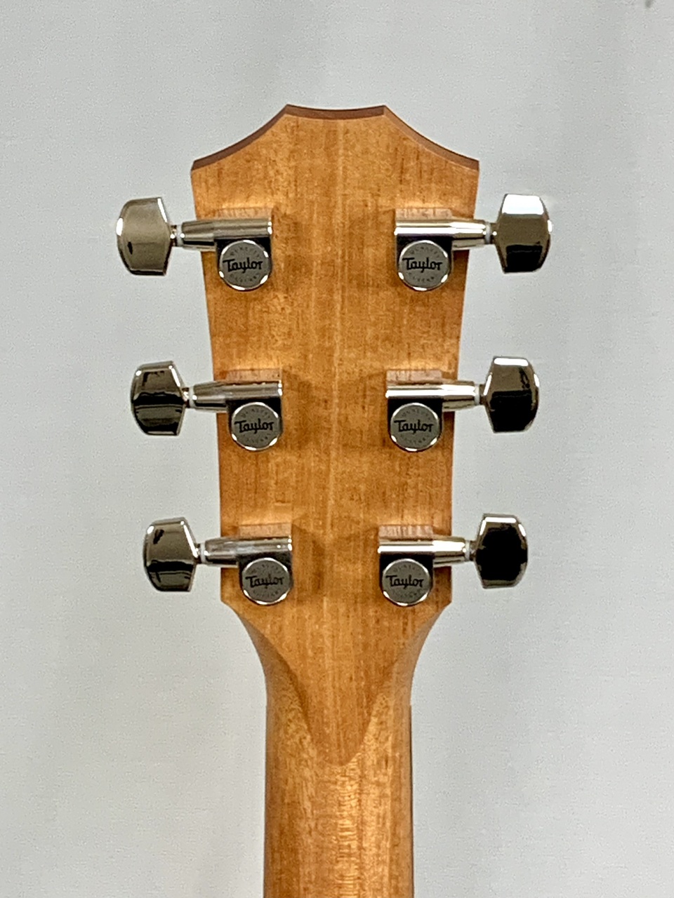 Taylor 214ce-K SB Plus / Shaded Edgeburst / Spruce（新品）【楽器