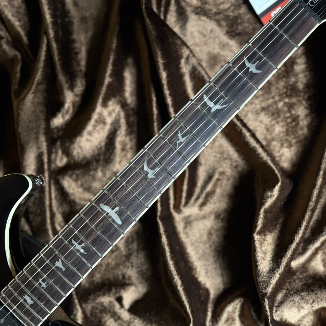 Paul Reed Smith(PRS) 《現物画像 / 限定生産モデル》SE Custom 22