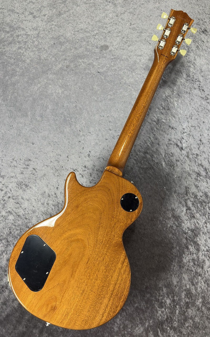 Tokai LS-201-WA【Gold Top】s/n2653010【4.19kg】【日本製】（新品