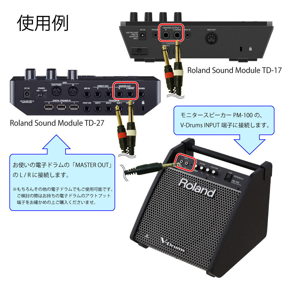 Roland PM-100 [Personal Monitor]【ケーブル付き アウトレット特価