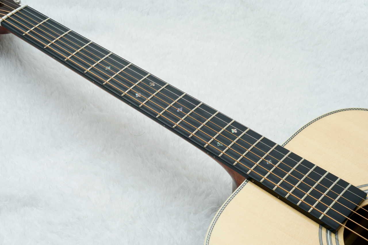 Stafford SF-4F -Natural-【数量限定アクセサリーセット付!】【初心者