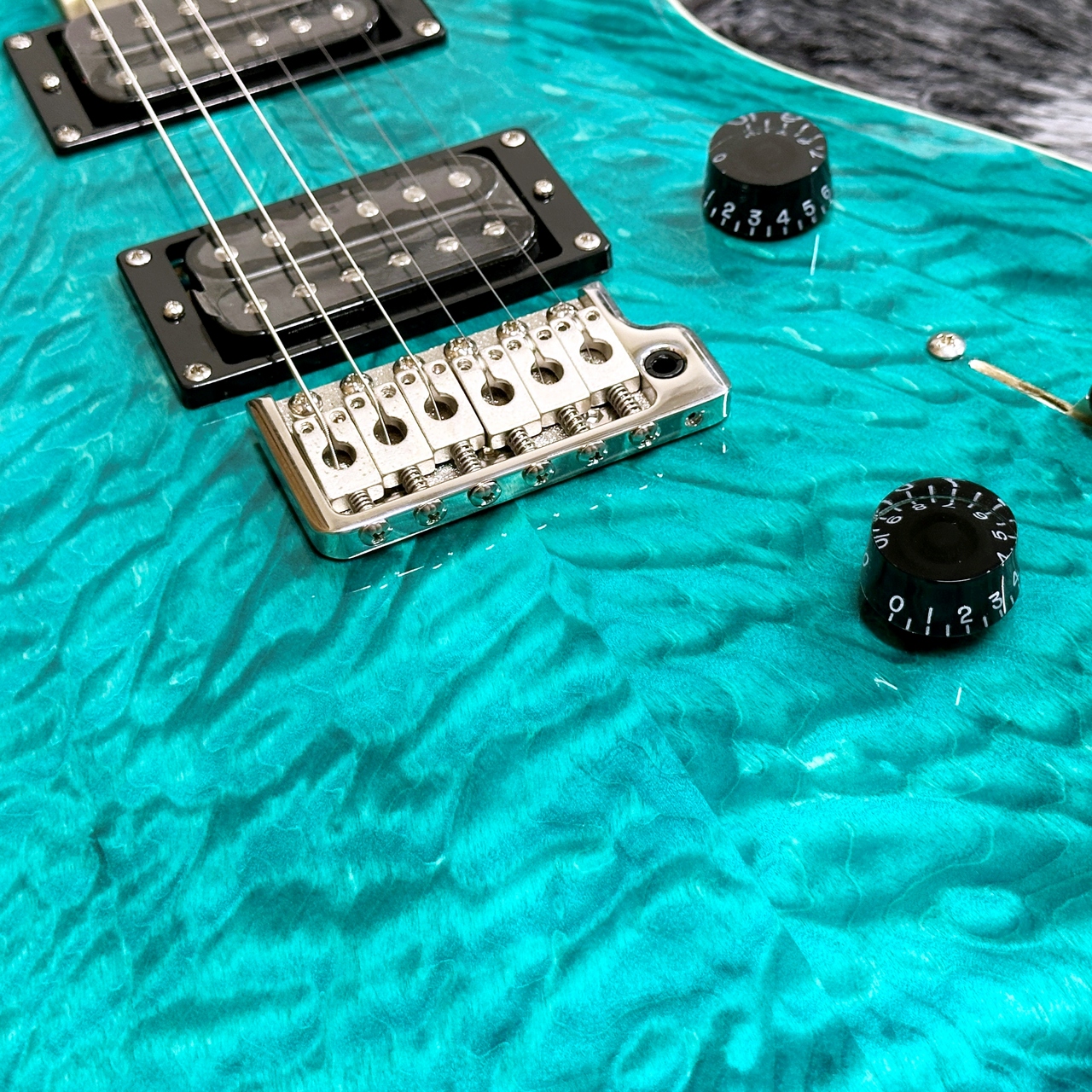 Paul Reed Smith(PRS) SE Custom 24 Quilt Package Turquoise【定番