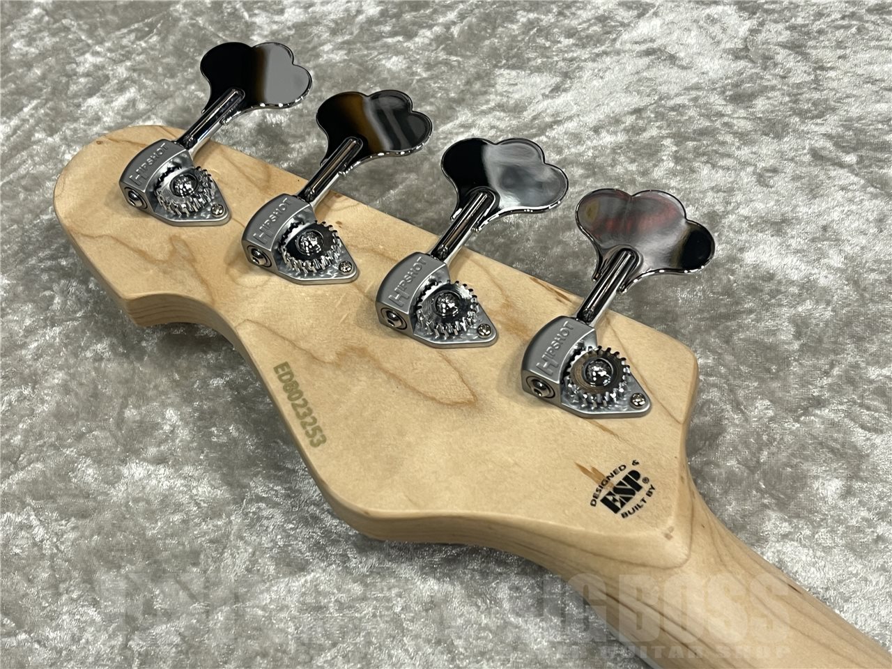 EDWARDS E-AMAZE-AS/M【Solid Burner】（新品/送料無料）【楽器検索