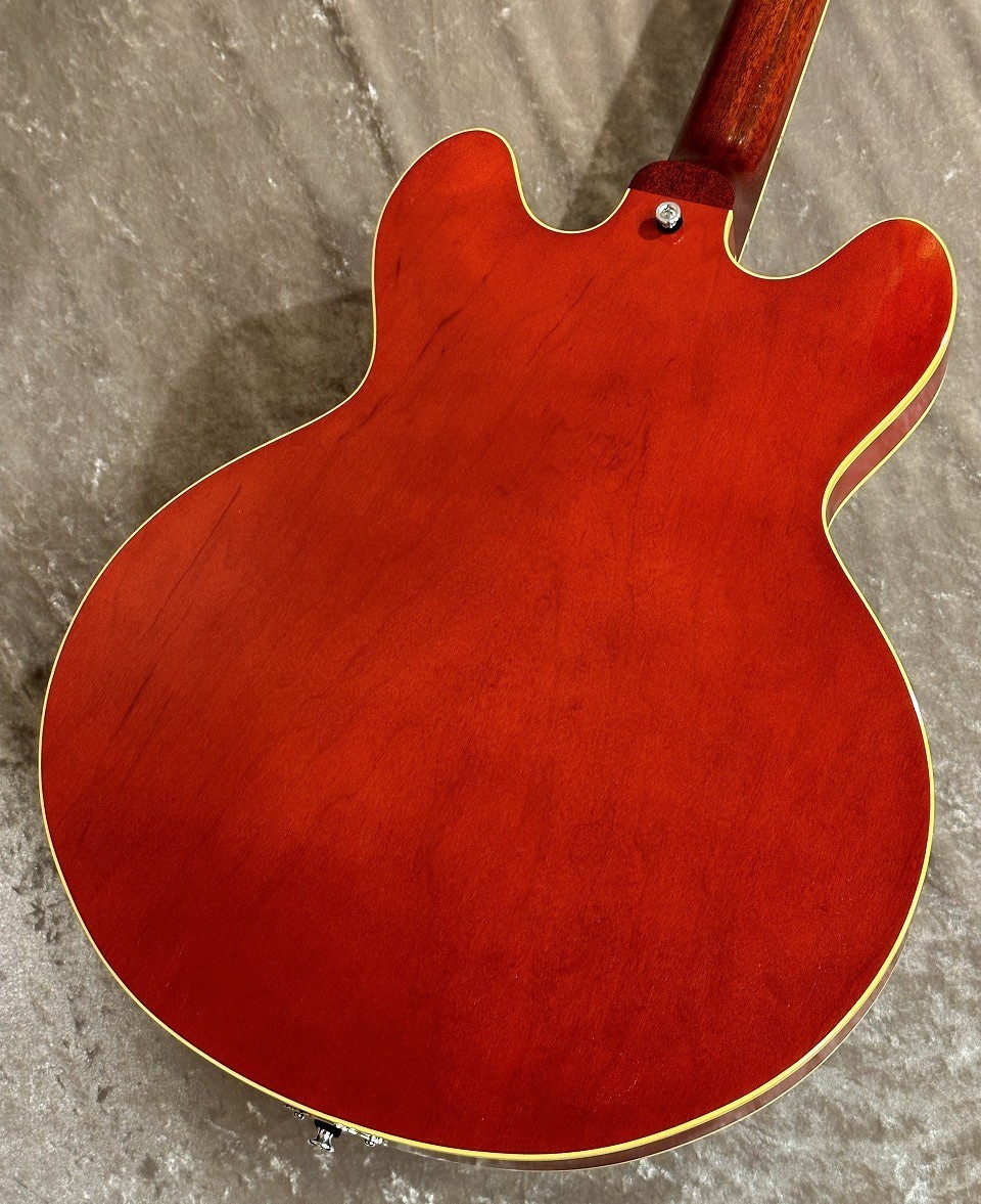 KING SNAKE 【特価】Smith Dirty Cherry S-103 [2.43㎏]【G-CLUB