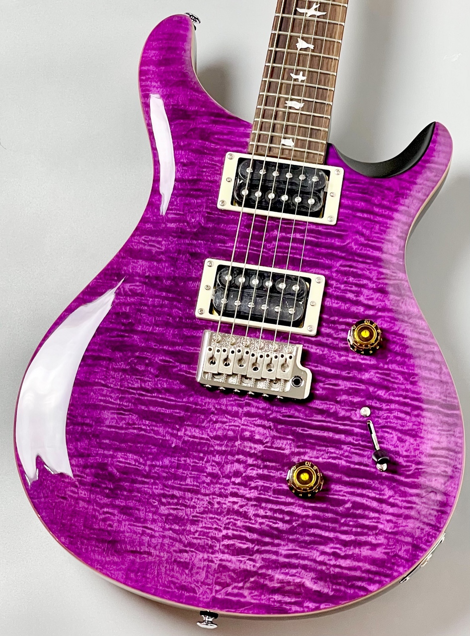 Paul Reed Smith(PRS) SE Custom 24 - Amethyst- #CTIH002948【3.60kg