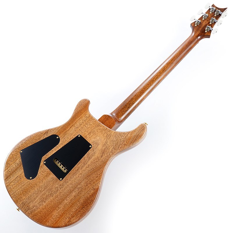 Paul Reed Smith(PRS) 2024 Custom 24 10top (Yellow Tiger) SN