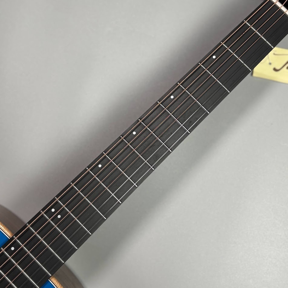 James J-300A II Earth Blue アコースティックギター トップ単板