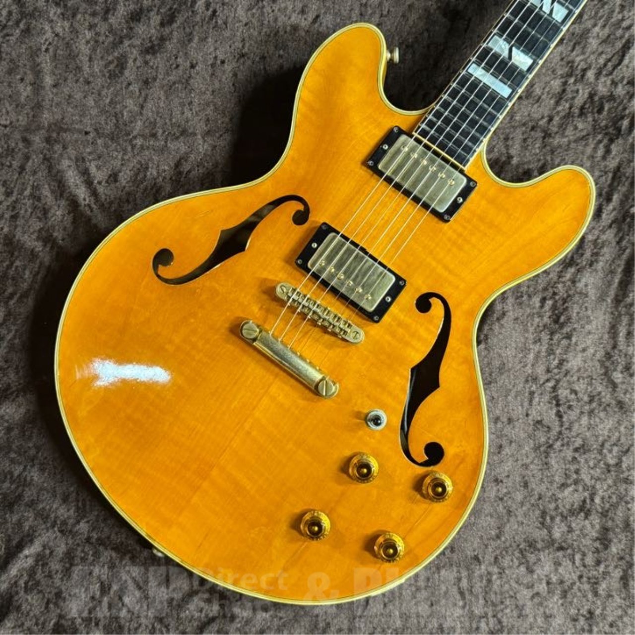 Navigator TORROCCO（中古/送料無料）【楽器検索デジマート】