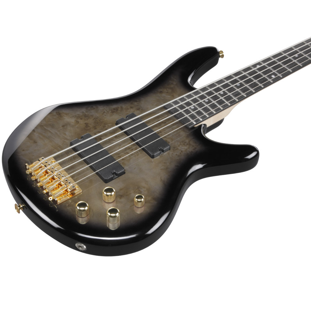 Ibanez アイバニーズ GSR205PC-TPB Gio Transparent Pale Black Burst