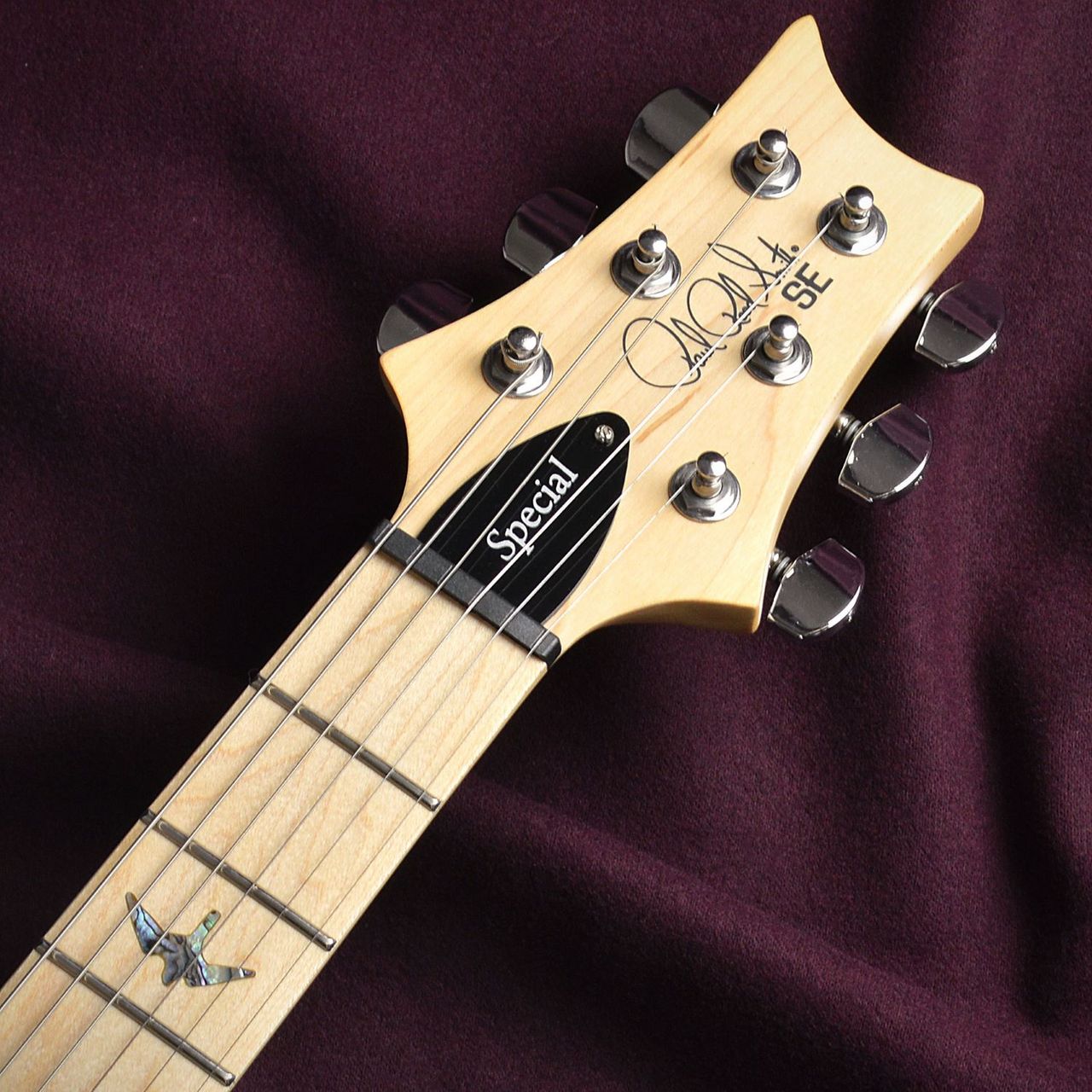 Paul Reed Smith(PRS) SE SWAMP ASH SPECIAL【現物画像】（新品/送料
