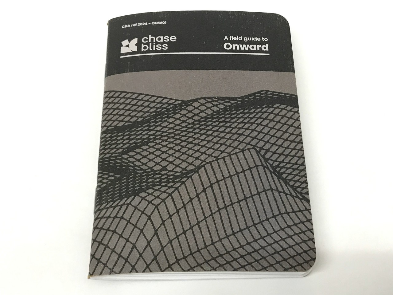 Chase Bliss Audio Onward（中古）【楽器検索デジマート】