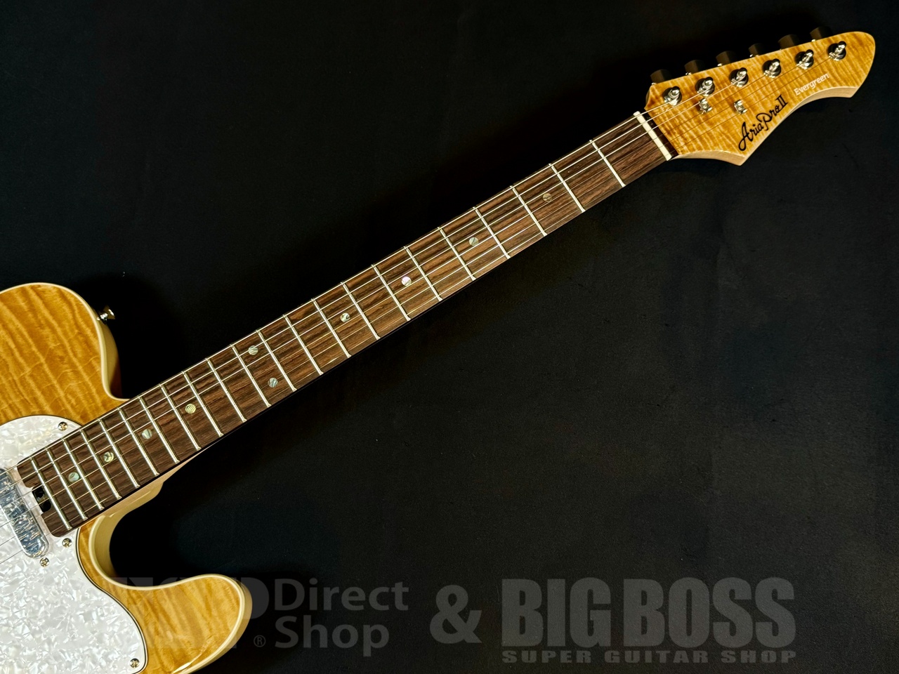 Aria Pro II 615-AE200 Yellow Gold（新品/送料無料）【楽器検索