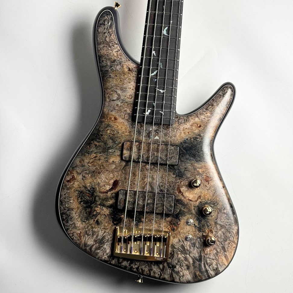Sugi NB5E 432 BM-PRM/ASH2P HH（Monochrome Dyed）【現物写真／重量