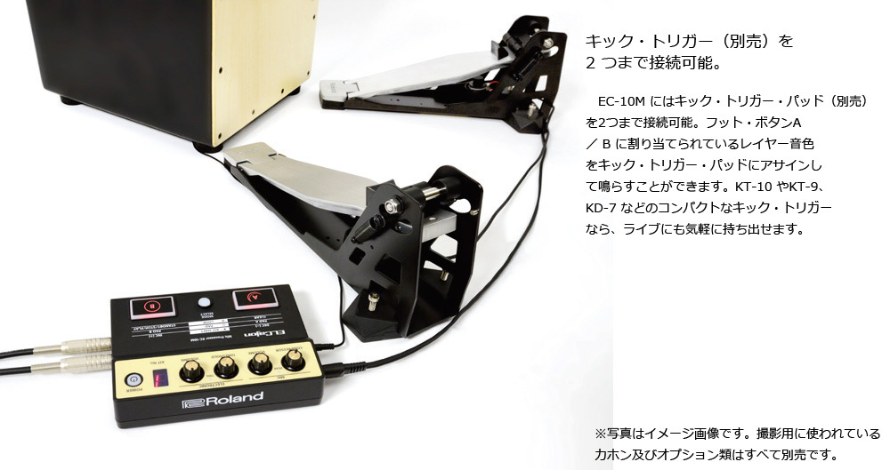 Roland EC-10M ローランド エルカホン マイクプロセッサー【WEBSHOP