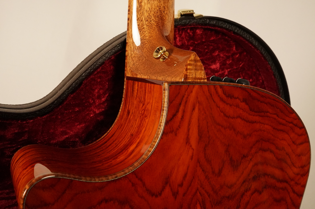 Taylor CTM GA Cocobolo Byzantine ~Sunburst~ 【現地選定材使用の