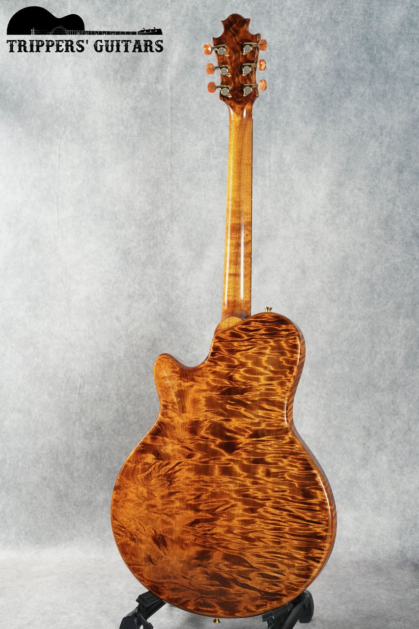 Nishigaki Guitars Arcus Style-N (2024)（中古）【楽器検索