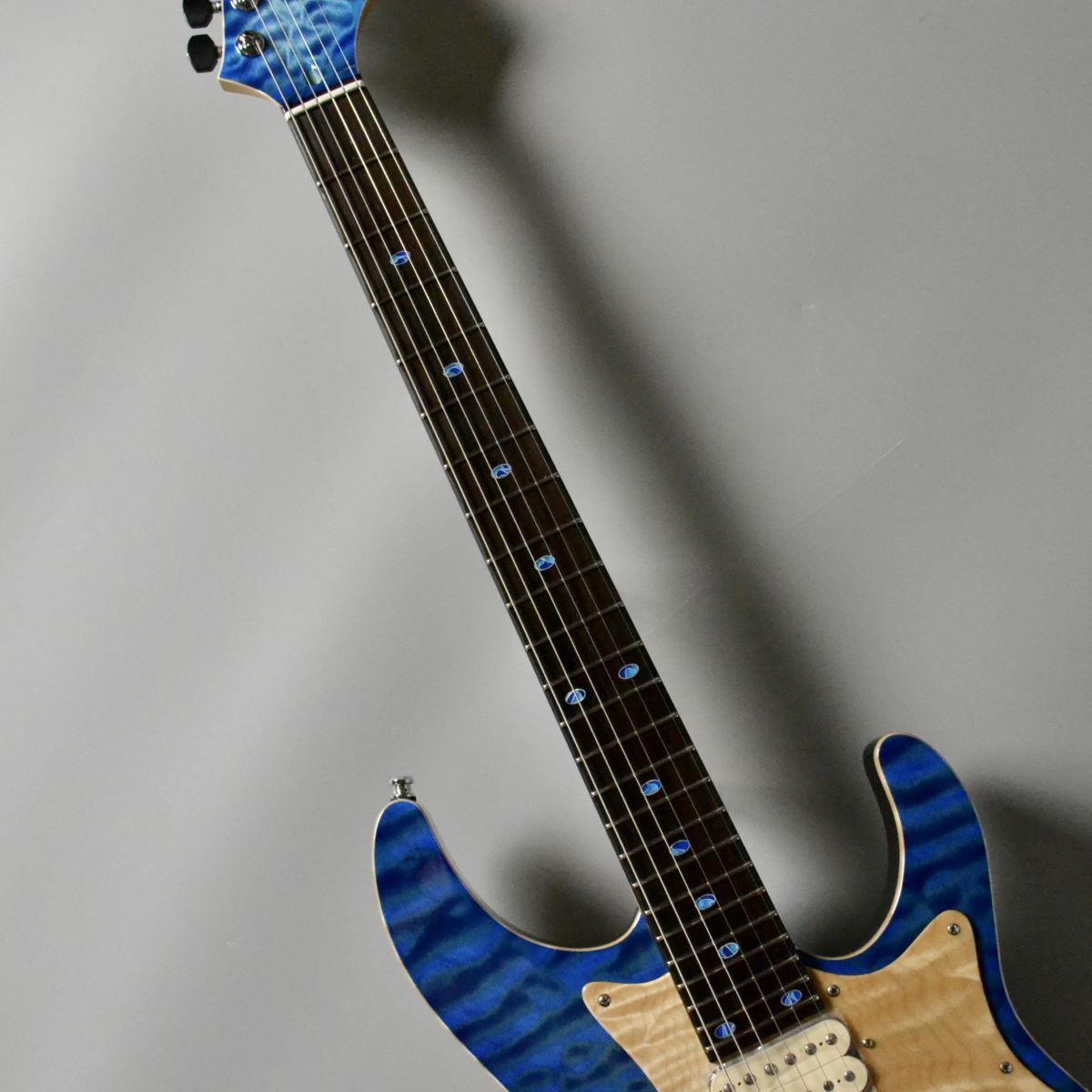 FREEDOM CUSTOM GUITAR RESEARCH Hydra Jacaranda Custom/SER(清流 