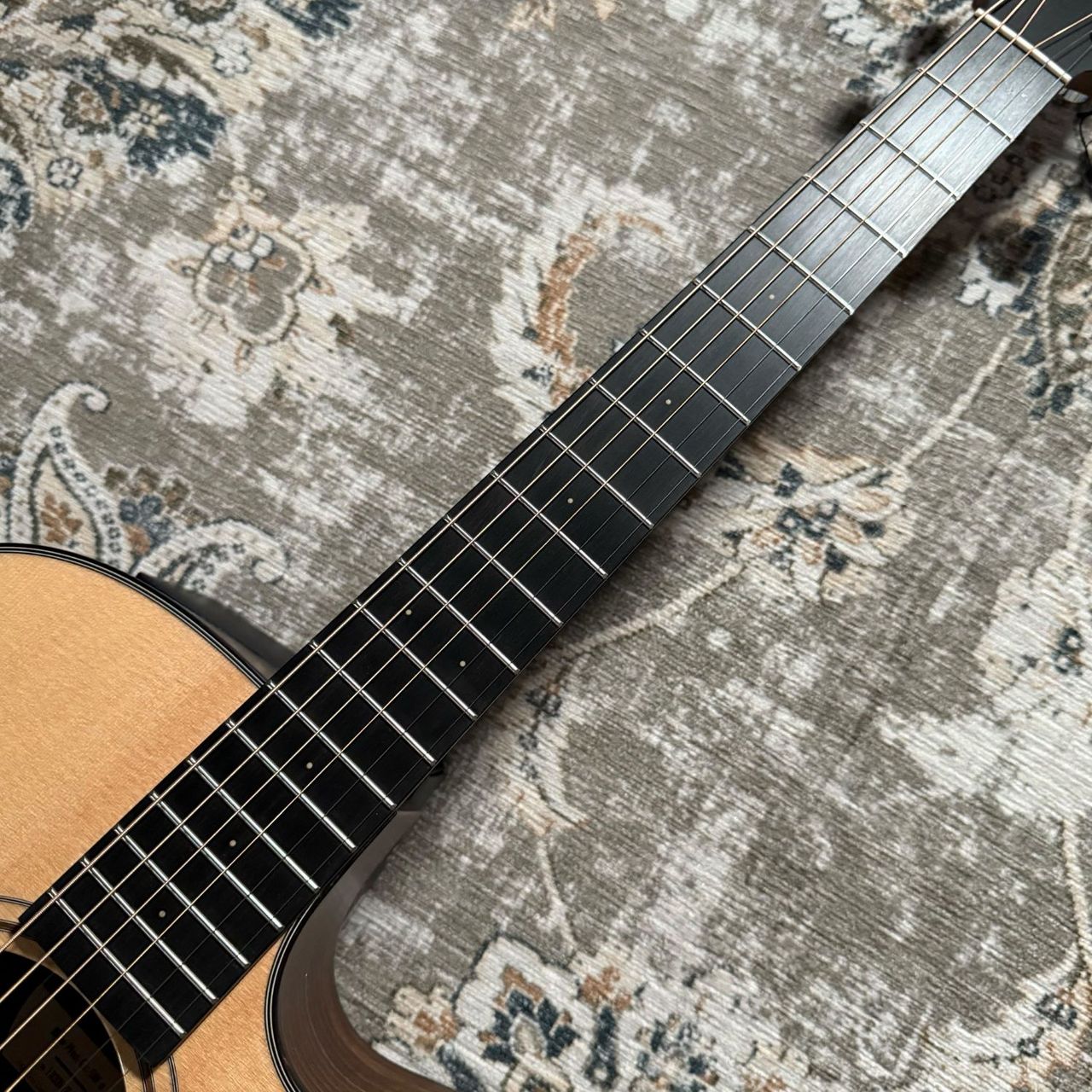 Furch Blue Plus Gc-SW a/アコースティック・ギター（新品/送料無料