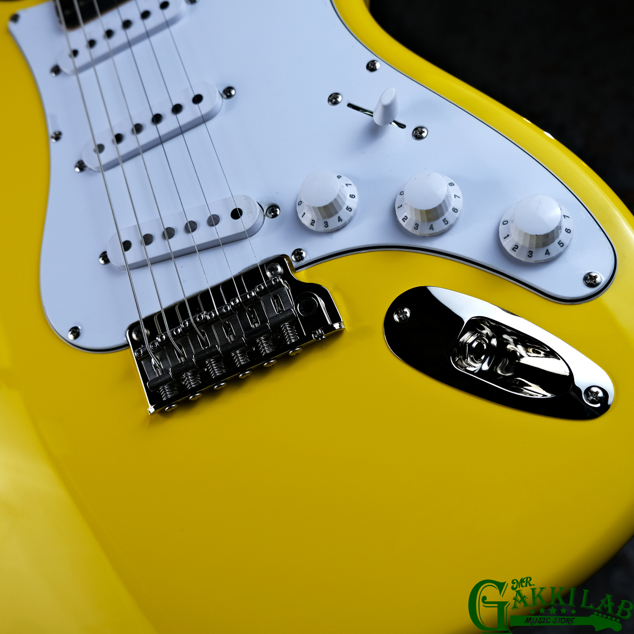 Paul Reed Smith(PRS) 2025 SE Silver Sky Rosewood Dandy Lion