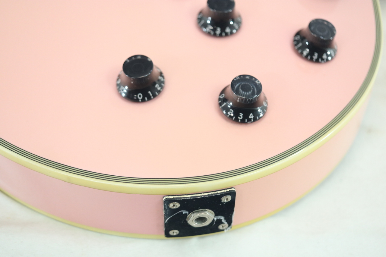 Burny PLC-45PP（中古）【楽器検索デジマート】
