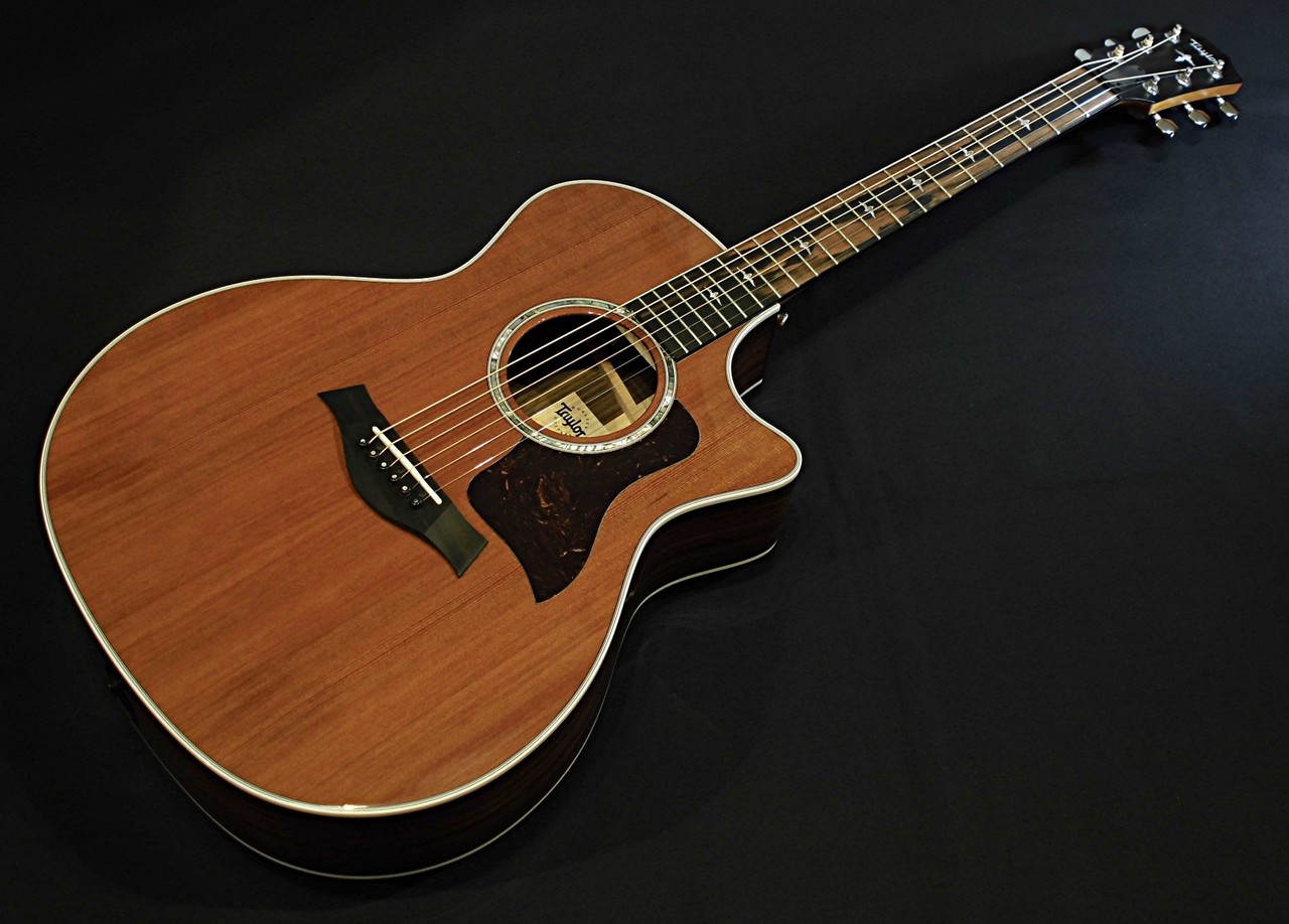 Taylor Limited Edition 414ce Sinker Redwood Top【限定モデル 