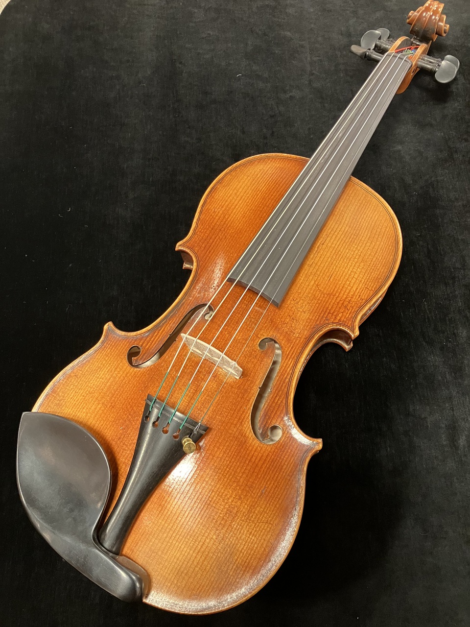 Roderich Paesold NAOTO監修5弦モデル PA805J 5st 【無金利