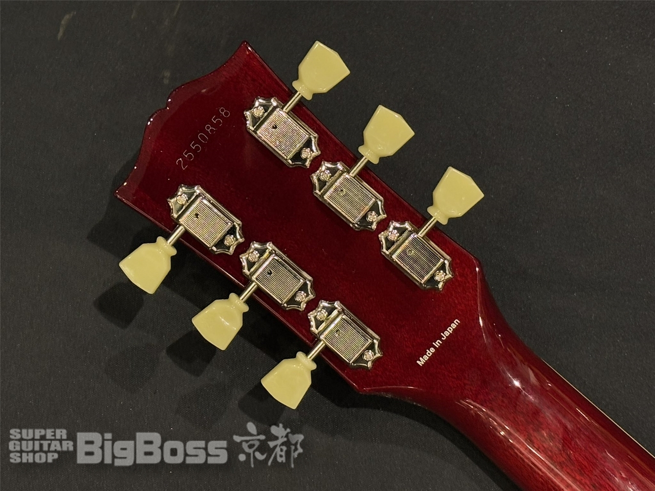 Tokai LS-101F / See Through Dark Red（新品/送料無料）【楽器検索