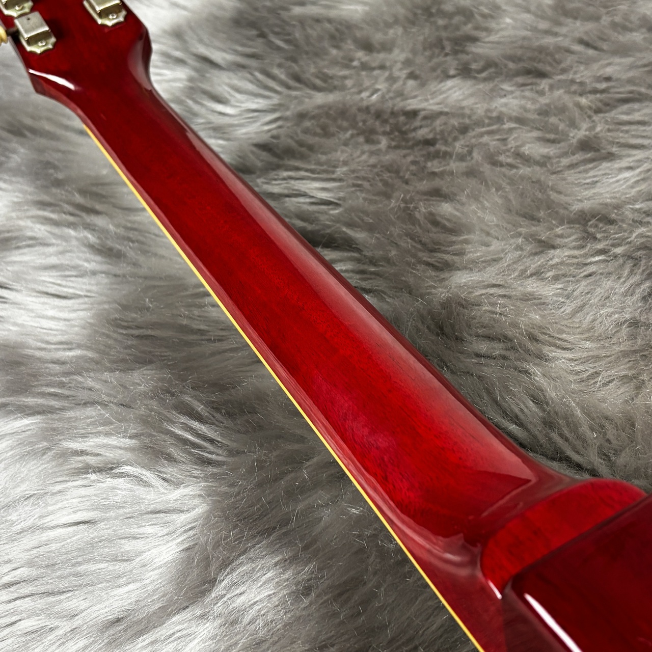 Tokai LS50 
