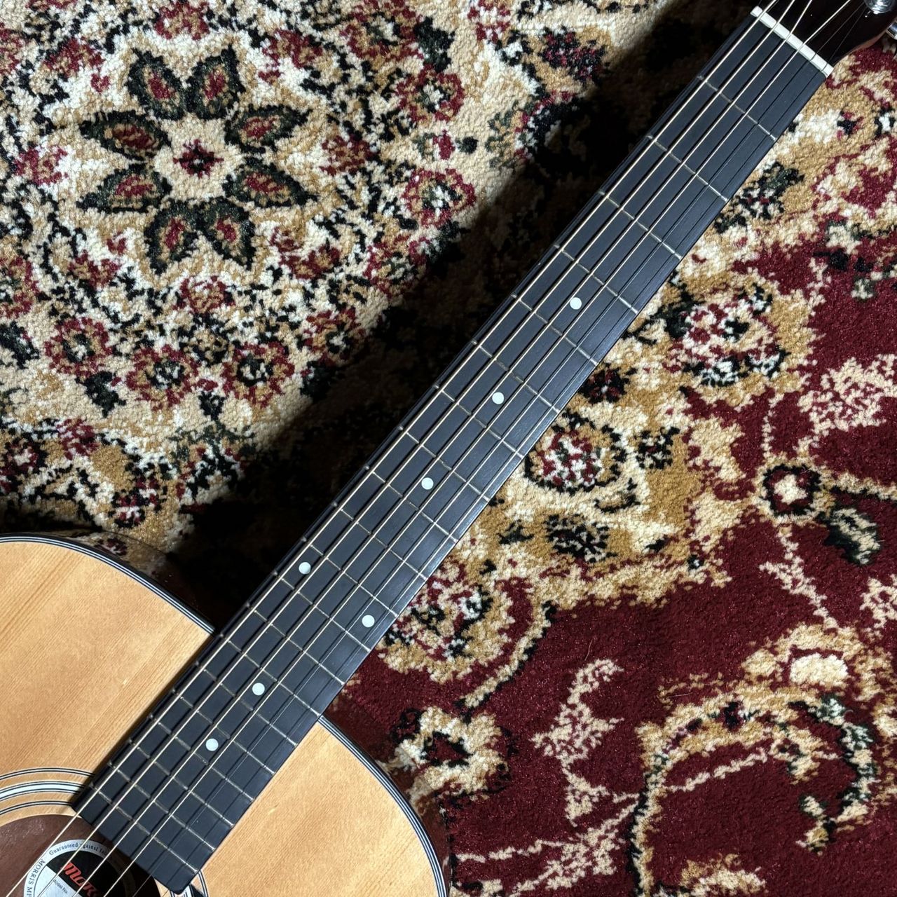 Morris F-251 【現物写真】（中古/送料無料）【楽器検索デジマート】