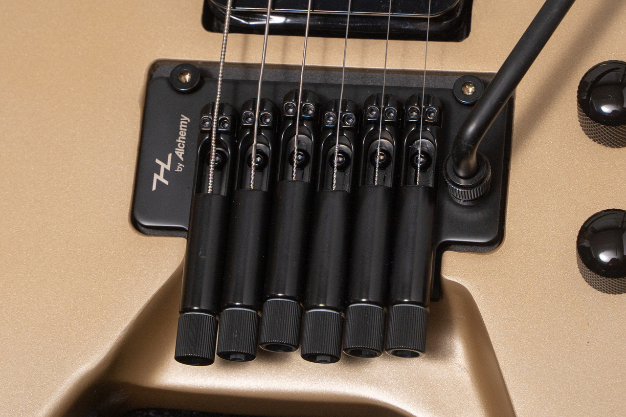 HEX Guitars N500P S/SS（新品/送料無料）【楽器検索デジマート】