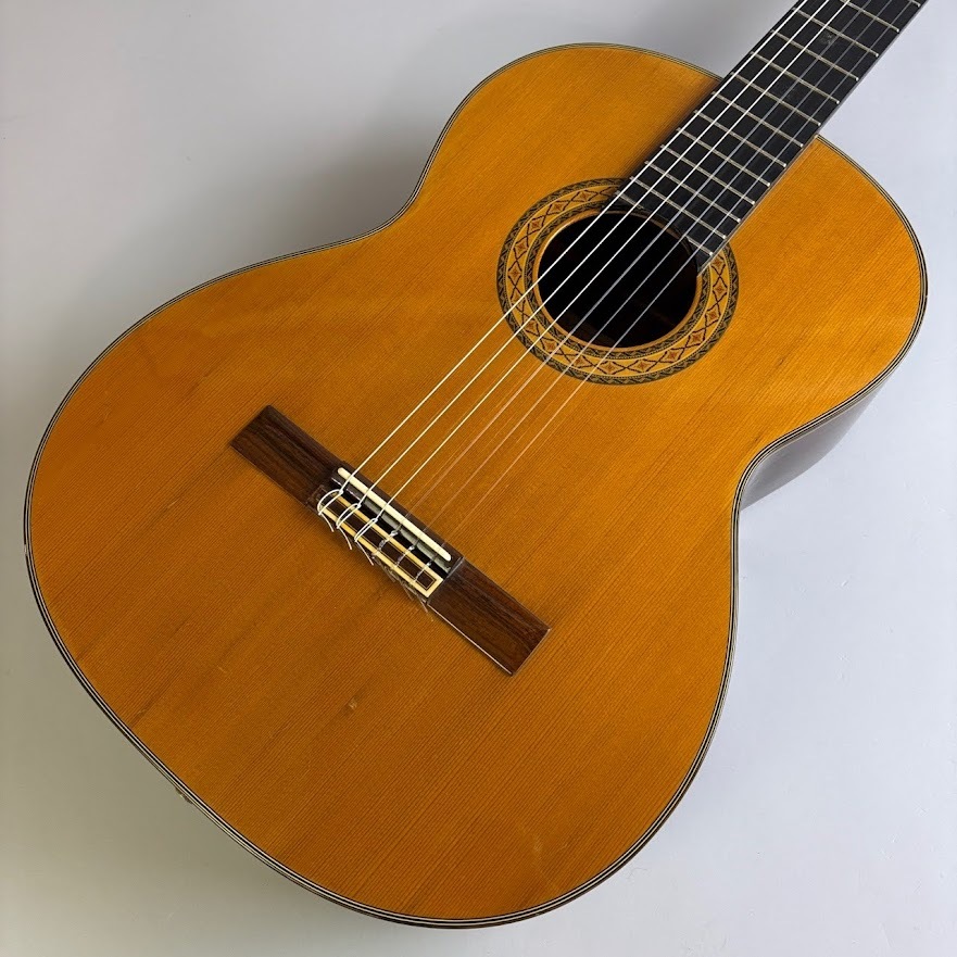 Takamine PT310