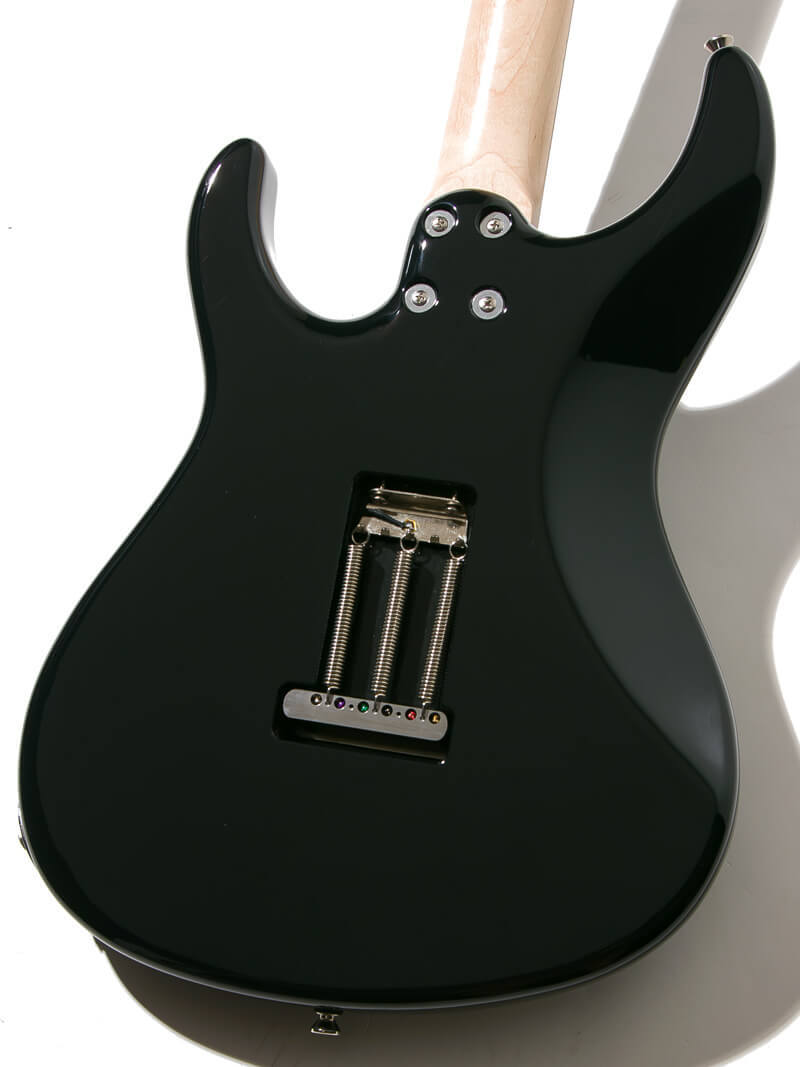 FREEDOM CUSTOM GUITAR RESEARCH C.S. EZa 24F Proto Black 2020（中古