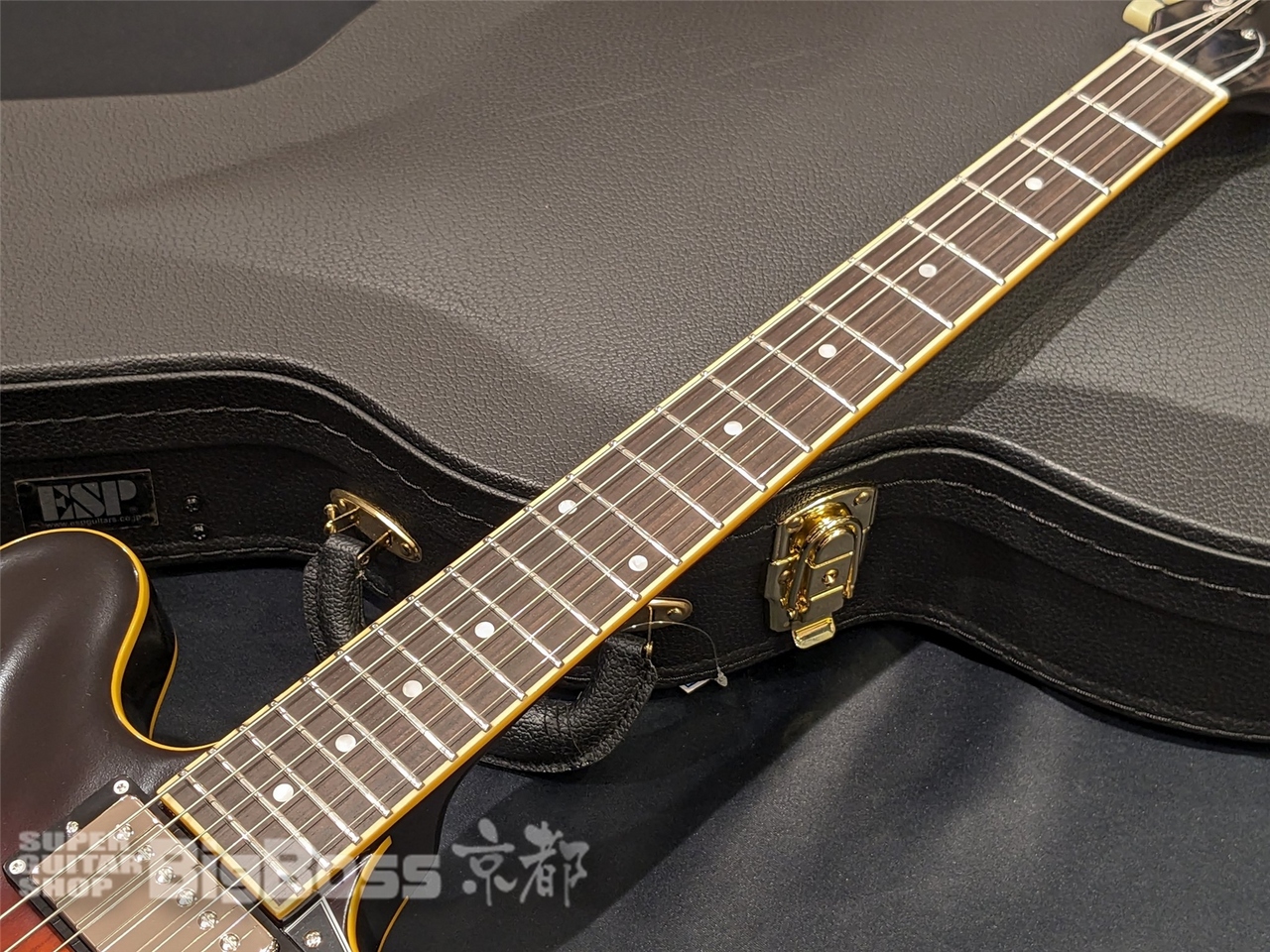 EDWARDS E-SA-STD / Tobacco Sunburst（新品/送料無料）【楽器検索 