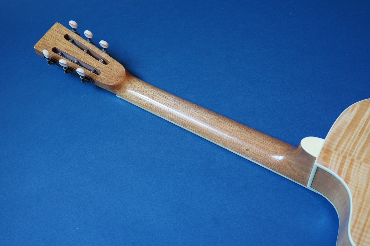 Delta Express TG-Cutaway （新品）【楽器検索デジマート】