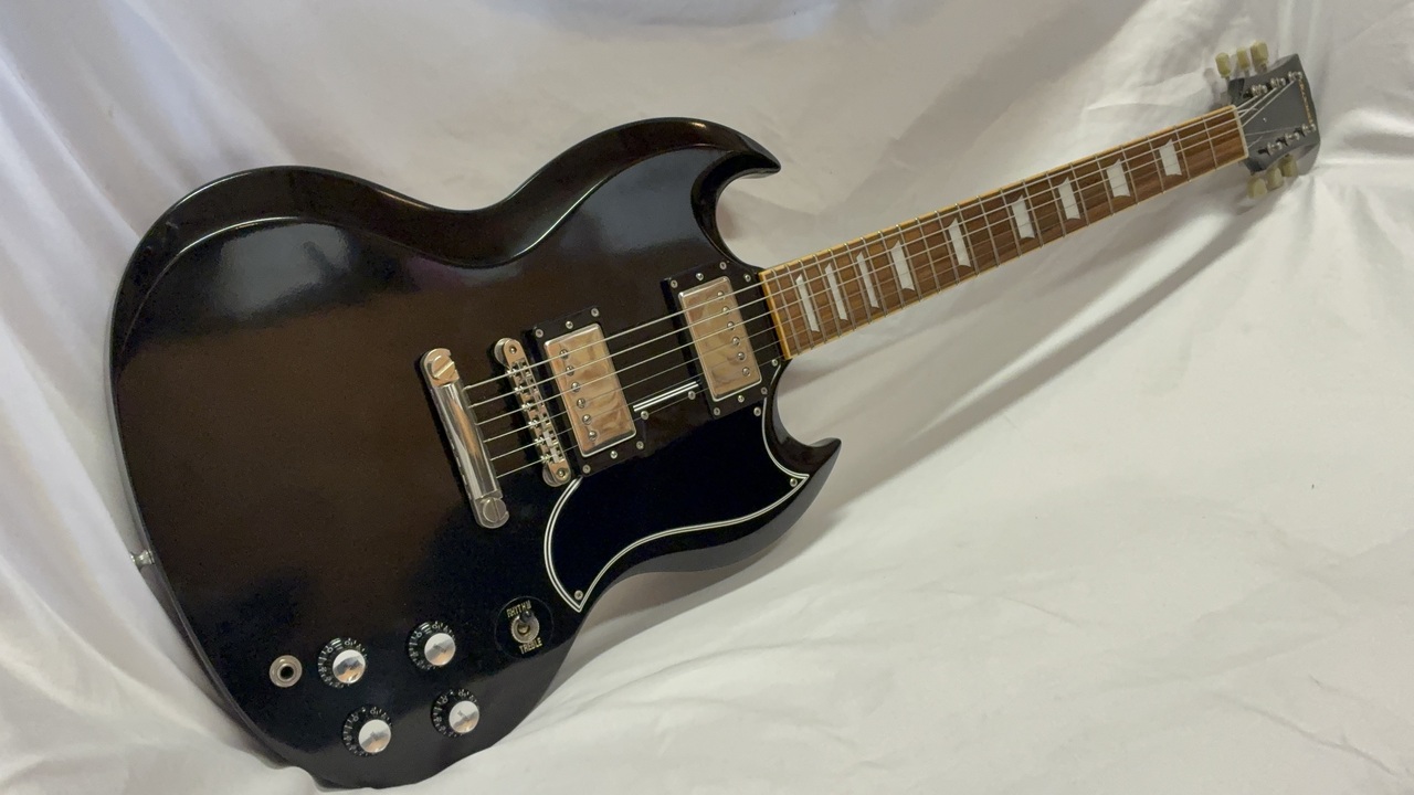 EDWARDS E-SG-100-LT2（中古）【楽器検索デジマート】