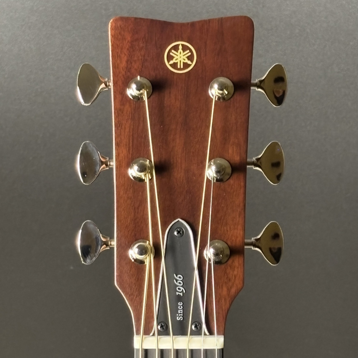YAMAHA FS5 GLOSS Red Label アコースティックギター 【国産 
