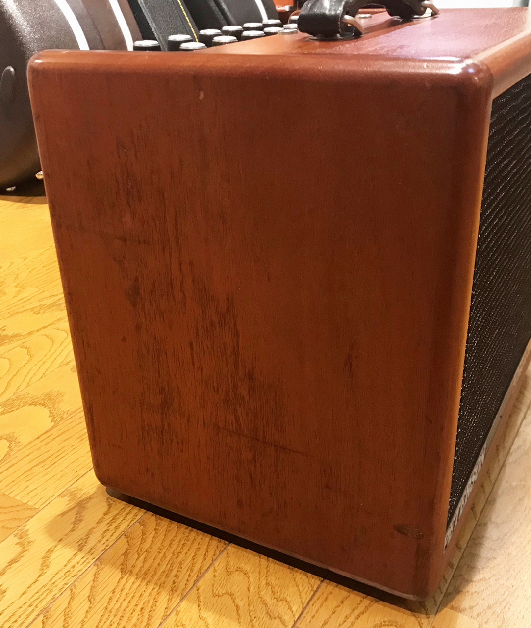 PETERSON P100G MkII（中古）【楽器検索デジマート】