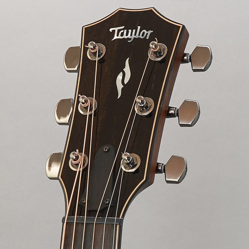 ギター taylor 814ce v-class Taylor 814ce V-Class Grand Auditorium Acoustic-Electric