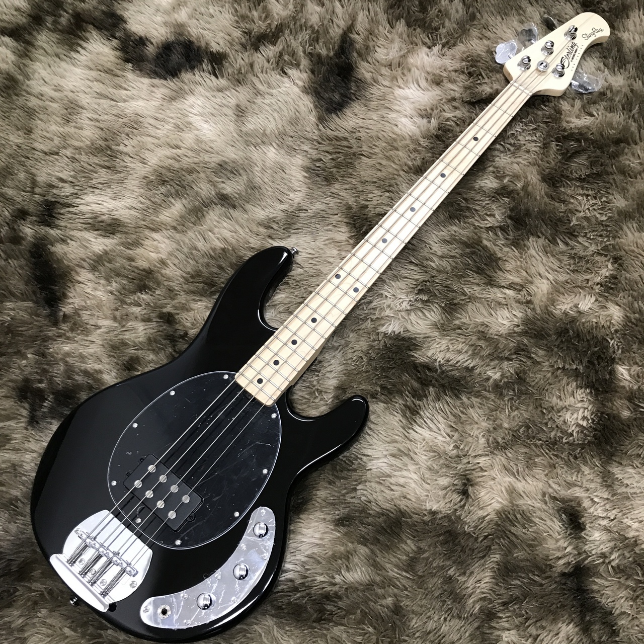 Sterling by MUSIC MAN SUB STINGRAY RAY4 / Black（新品/送料無料