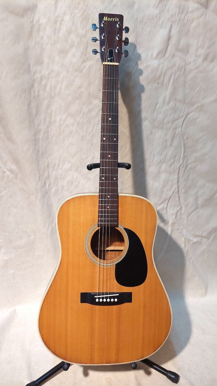 MORRIS W-20 1974年寺田楽器 美品 Morris W-20（中古）【楽器検索デジマート】
